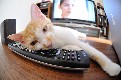 恩比德末节封神锁胜局,步行者攻坚终结猛龙六连胜