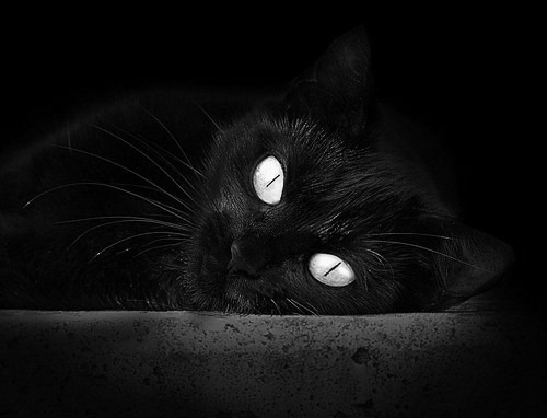 冰与火的交响,加克波的个人英雄主义与瑞士的冷酷末节