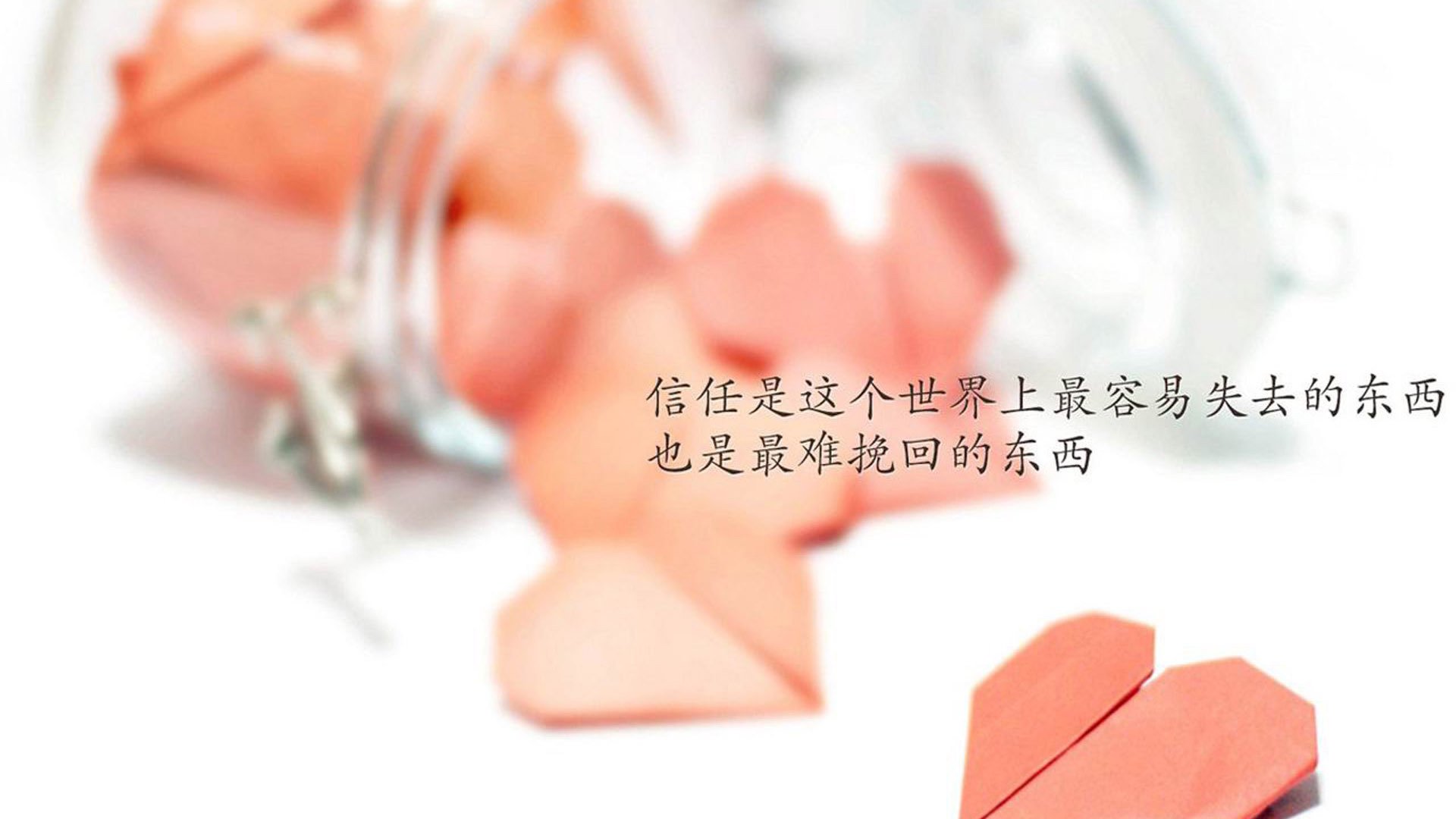 关键先生的唯一性,范弗利特的冷血与森林狼的蜕变