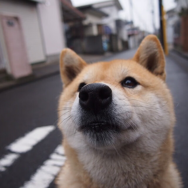 雷火电竞官网-时空交错的足球启示录，当摩洛哥单节击溃乌克兰，加克波在欧冠淘汰赛完成灵魂接管