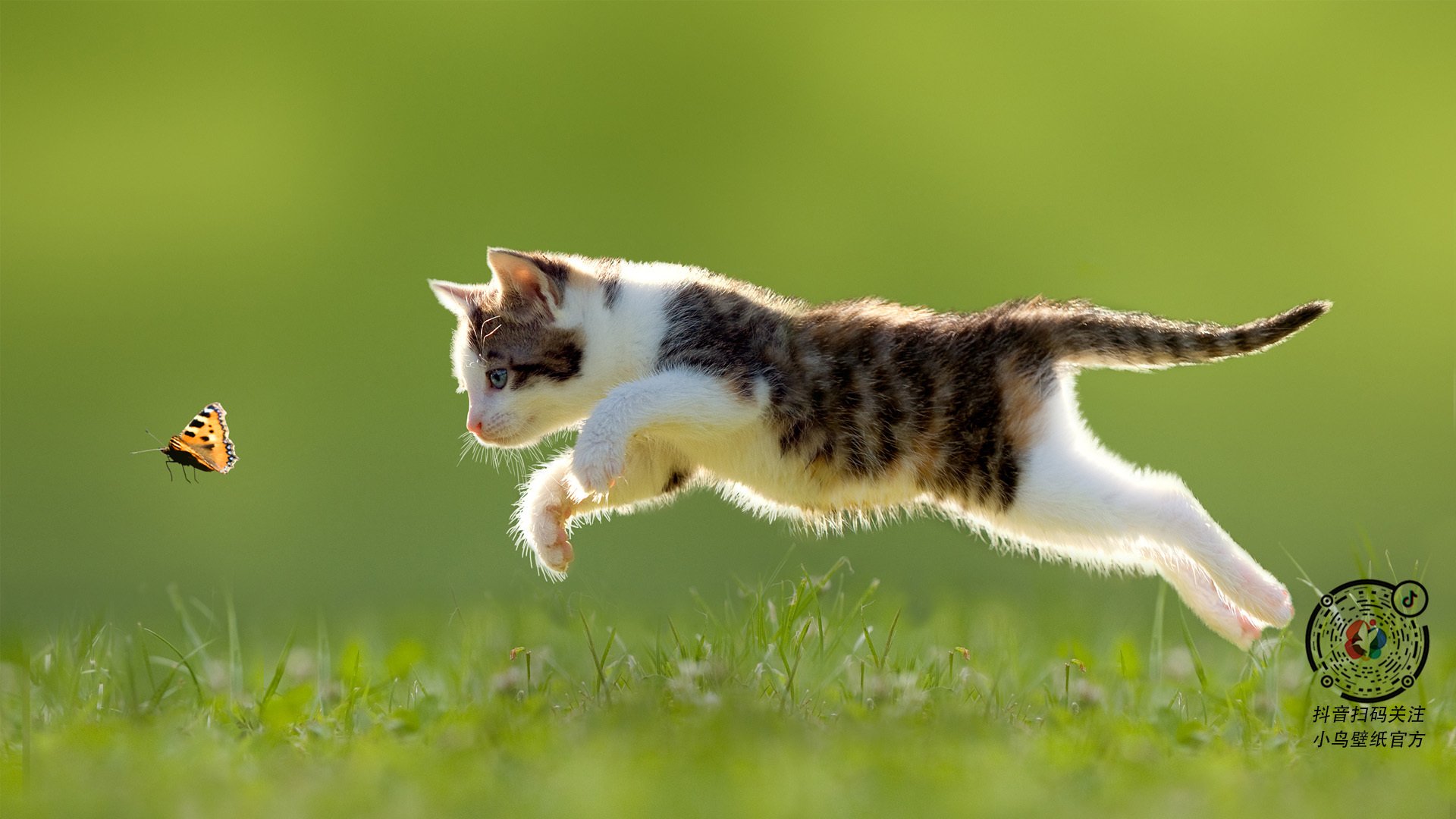 绿茵铁闸变身禁区守护神，阿坎吉的东决制胜法则