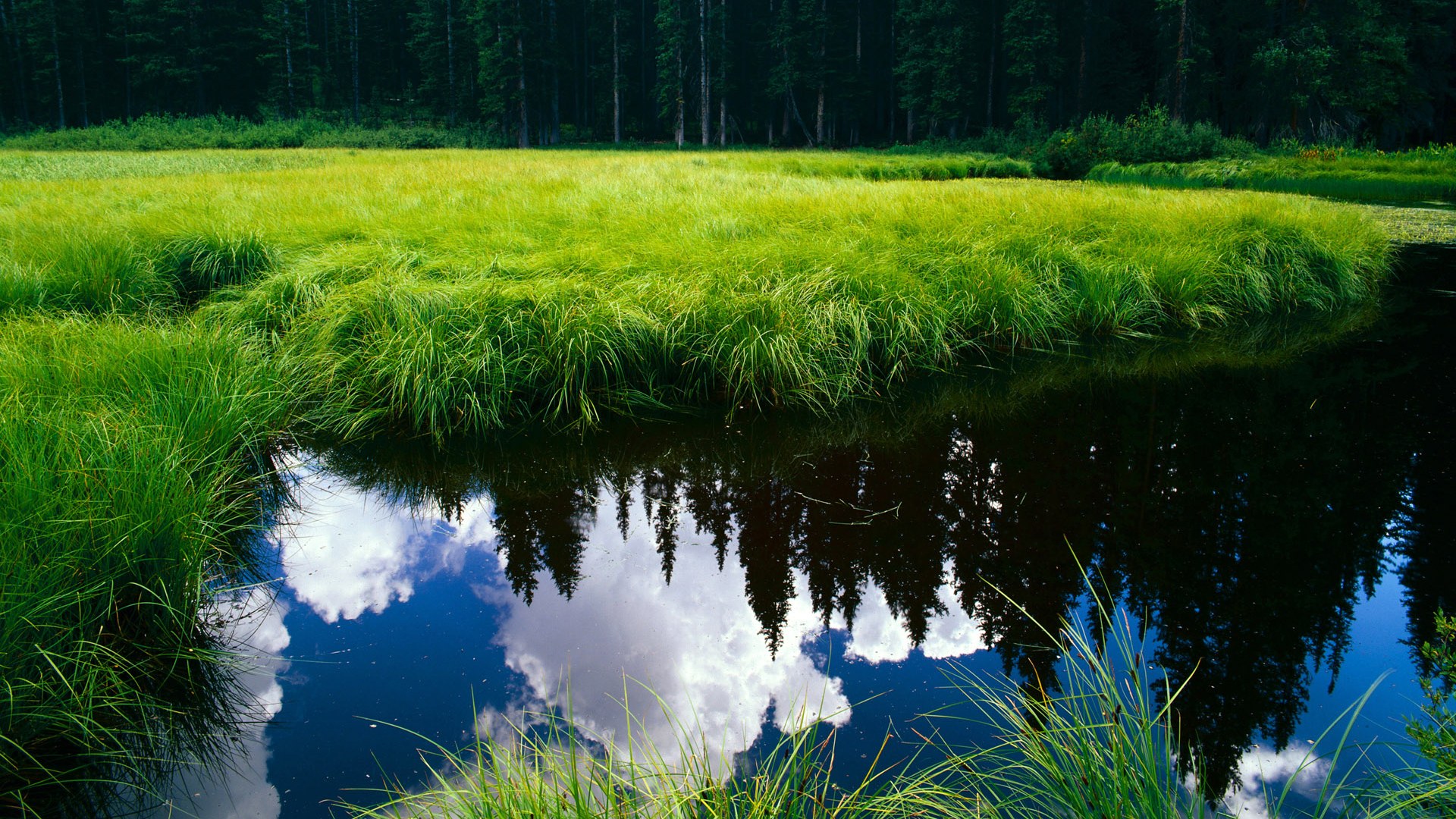 大场面先生利拉德，当浙江队遭遇迈阿密热火