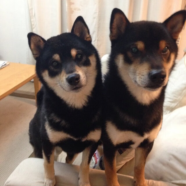 只有少数人记得的比赛，但韩国队黄喜灿那记油炸丸子堪称最完美