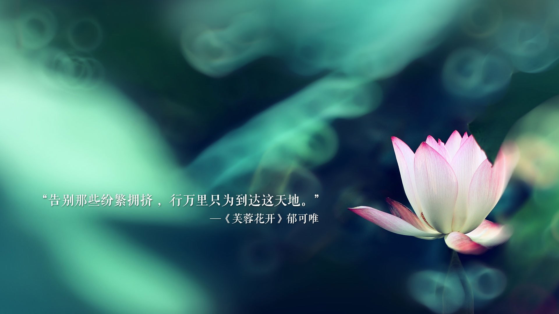2026世界杯D组焦点战,费利克斯独舞,哥斯达黎加完胜冰岛—一场唯一性的绿洲神话